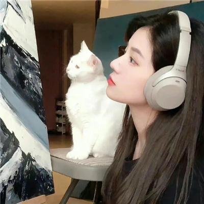 紫檀巷